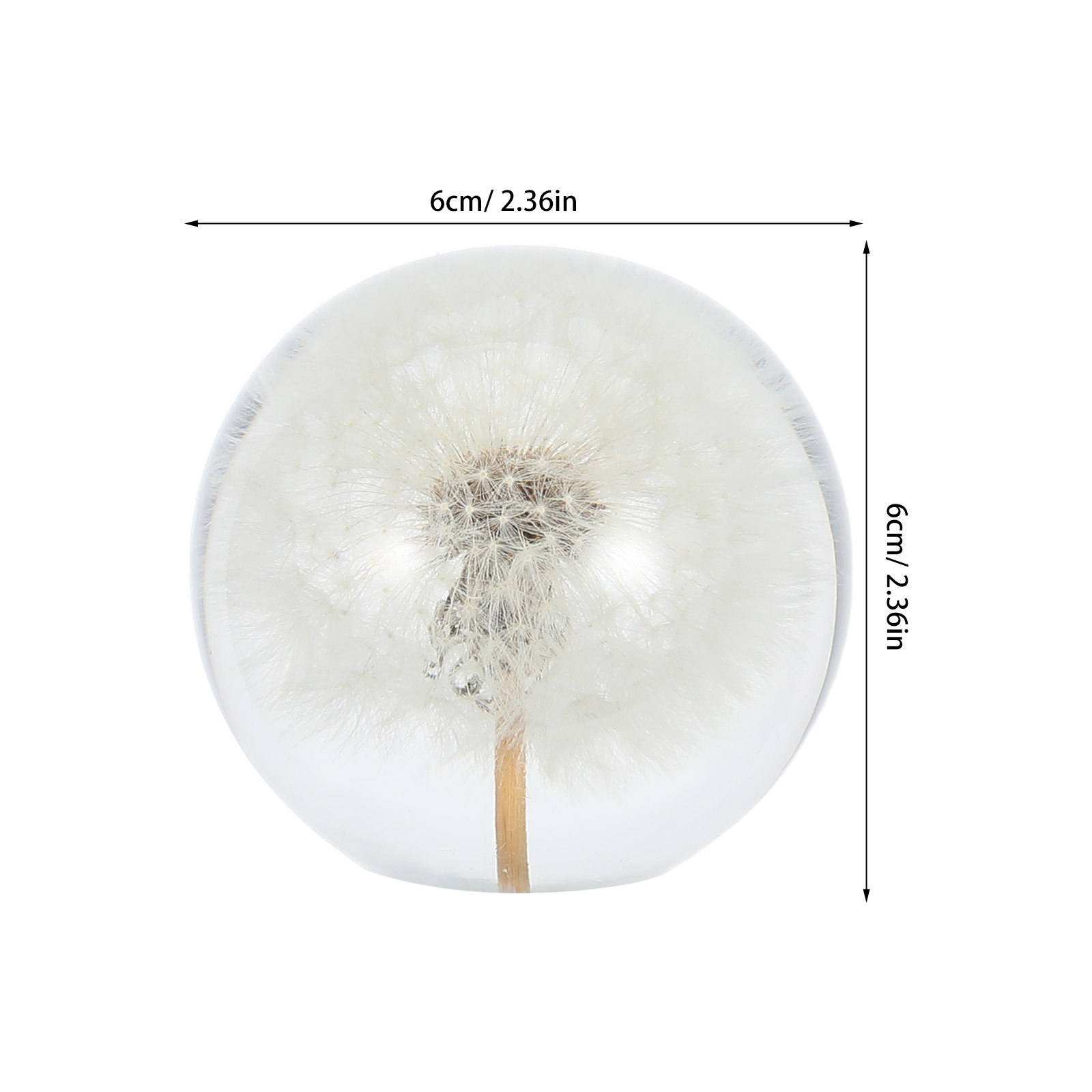 Dandelion Crystal Ball Glass S – обзор и цена Paper Weight Crystal