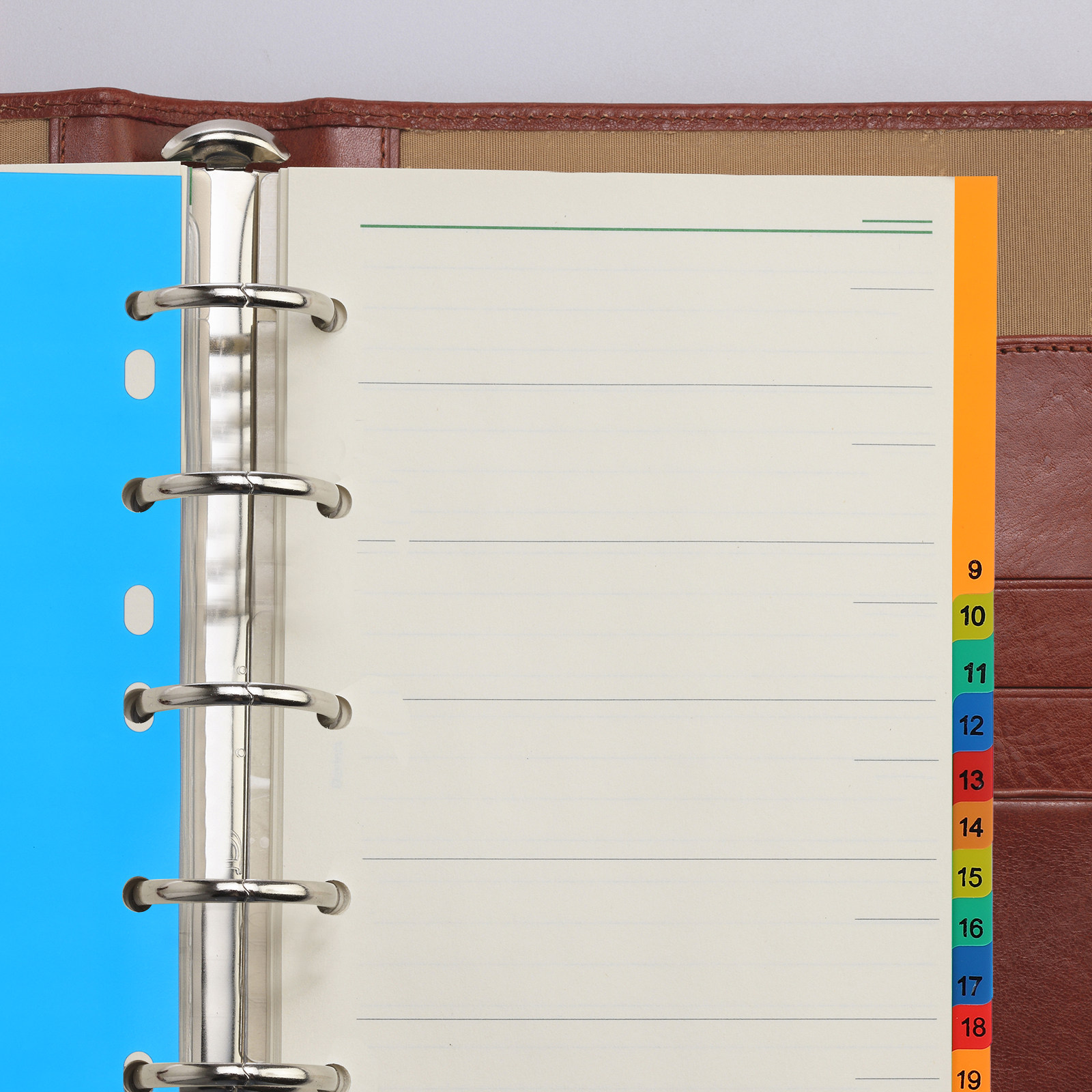 20 Pages A4 Multi Color Plasti – обзор и цена Tab Divider A4