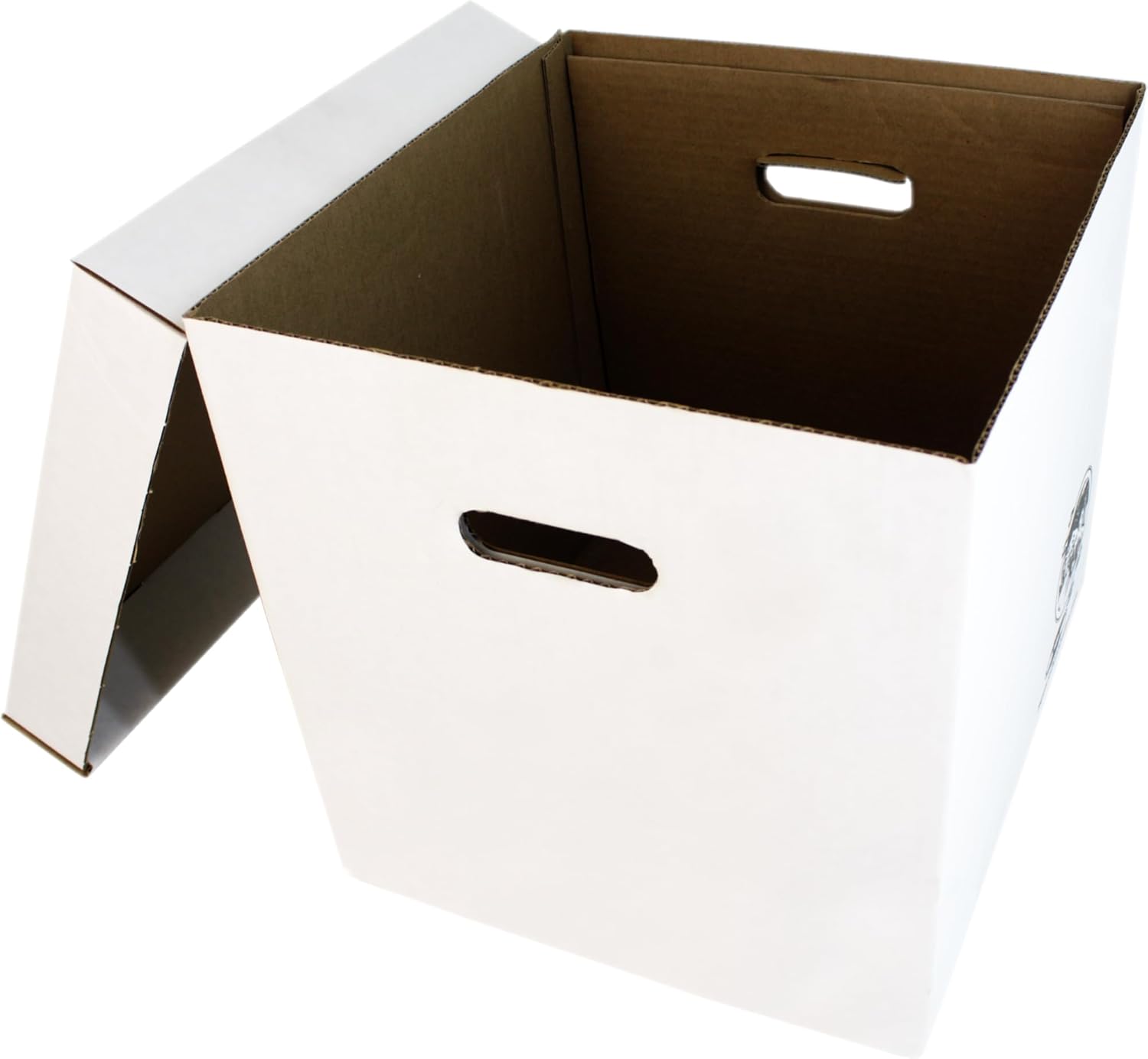 Set of 5 Heavy-Duty 12-Inch Vi – обзор и цена Archive Box Set